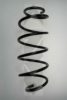 SPIDAN 85374 Coil Spring